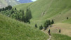 fenetre_ferret_17_042