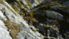 fenetre_ferret_18_003