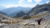 fenetre_ferret_18_007