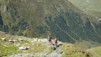 fenetre_ferret_18_029