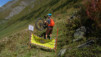 fenetre_ferret_18_038