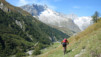 fenetre_ferret_18_039
