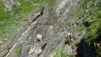 fenetre_ferret_18_040