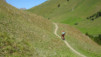 fenetre_ferret_18_046