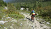 fenetre_ferret_18_048
