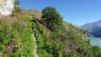 fenetre_ferret_22_004