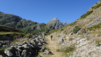 fenetre_ferret_22_006