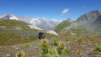 fenetre_ferret_22_020