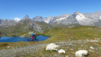 fenetre_ferret_22_024