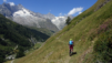fenetre_ferret_22_031