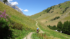 fenetre_ferret_22_033