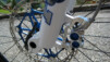 foes_fxr_21_008