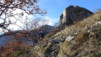 follateres_18_015