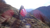 follateres_18_025