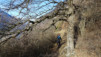 follateres_18_026