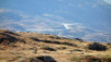 galmji_009