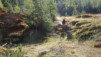 galmji_027