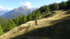galmji_029