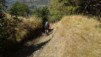 galmji_039