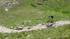 gebid_bisti_14_030