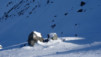 gentianes_parrain_001