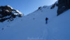 gentianes_parrain_002