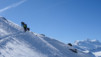 gentianes_parrain_010
