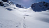 gentianes_parrain_011