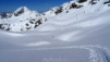 gentianes_parrain_012