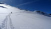 gentianes_parrain_014