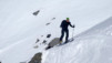 gentianes_parrain_017