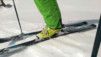 gentianes_parrain_029