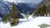 gentianes_parrain_037