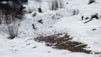 gentianes_parrain_040