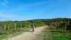 giro_chianti_001