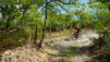 giro_chianti_008