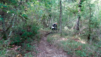 giro_chianti_011