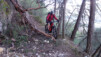 Entre la branche et l'arbre, que choisir ? La roue, le cintre ? Les dents, sans hésiter ! graechmatten_20_003