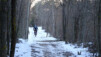 La (re)descente vers Agarn l'ombragée, en mode c'est tout droit et verglacé, alors autant éviter de toucher aux freins. graechmatten_20_007