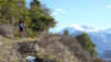 Non seulement l'option "wanderweg nach oben" fait rapidement gagner du D+, mais en plus, elle offre des panoramas pas piqués des vers (récemment élus). graechmatten_20_014