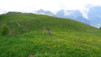 grand_garde_14_017