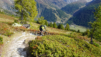 grimsel-totesee_022