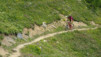 guggerhubel_2020_006