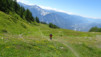 guggerhubel_2020_017