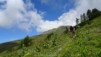 guggerhubel_2020_018