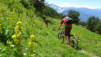 guggerhubel_2020_019