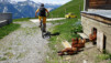guggerhubel_express_018
