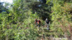 guttet_08_0002.jpg