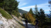 guttet_08_0013.jpg