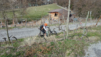 guttet_21_005